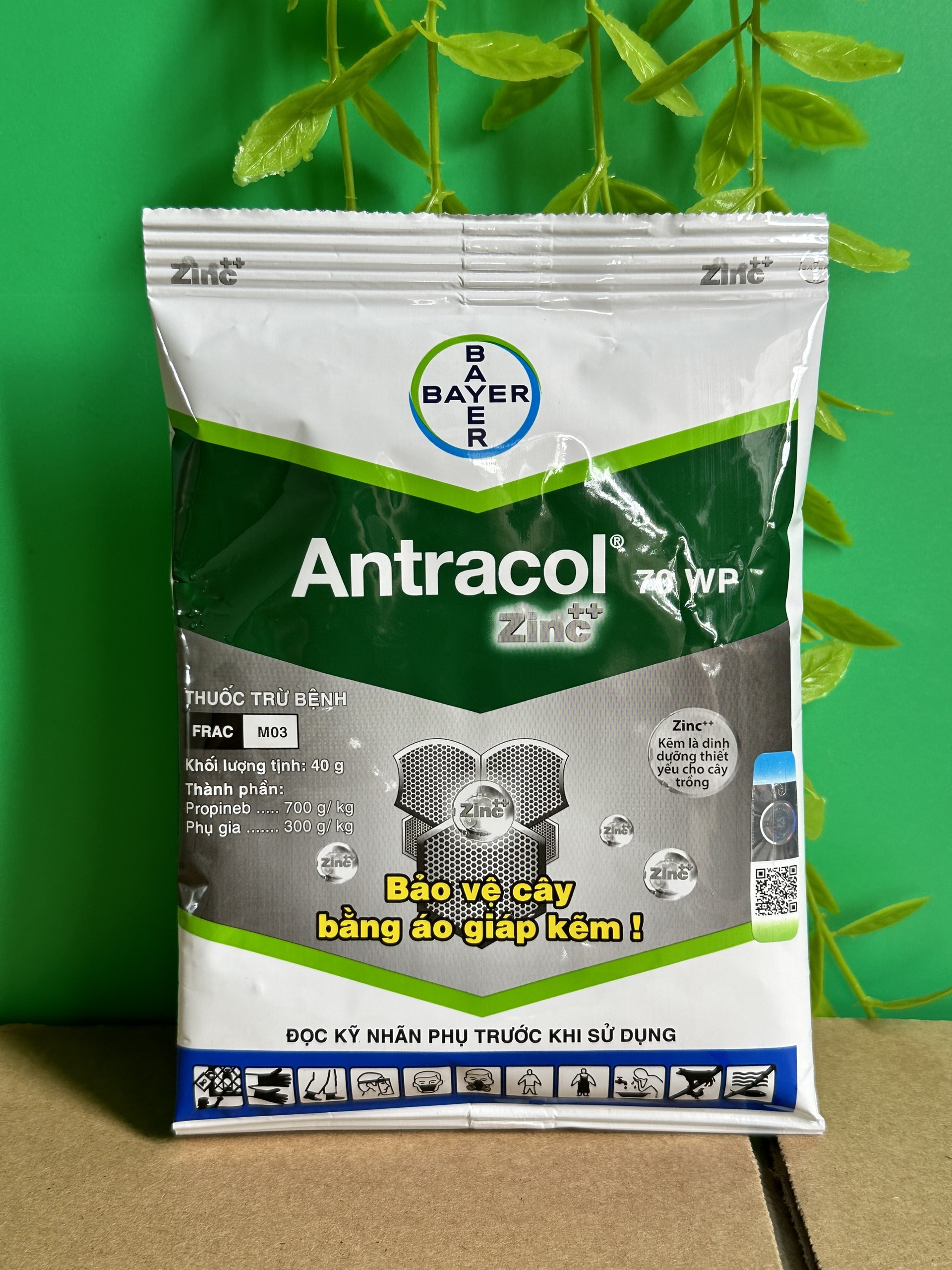 Antracol 70wp diệt rỉ sắt, thán thư, sương mai và bổ xung kẽm dành cho hoa lan, hoa hồng và cây cảnh