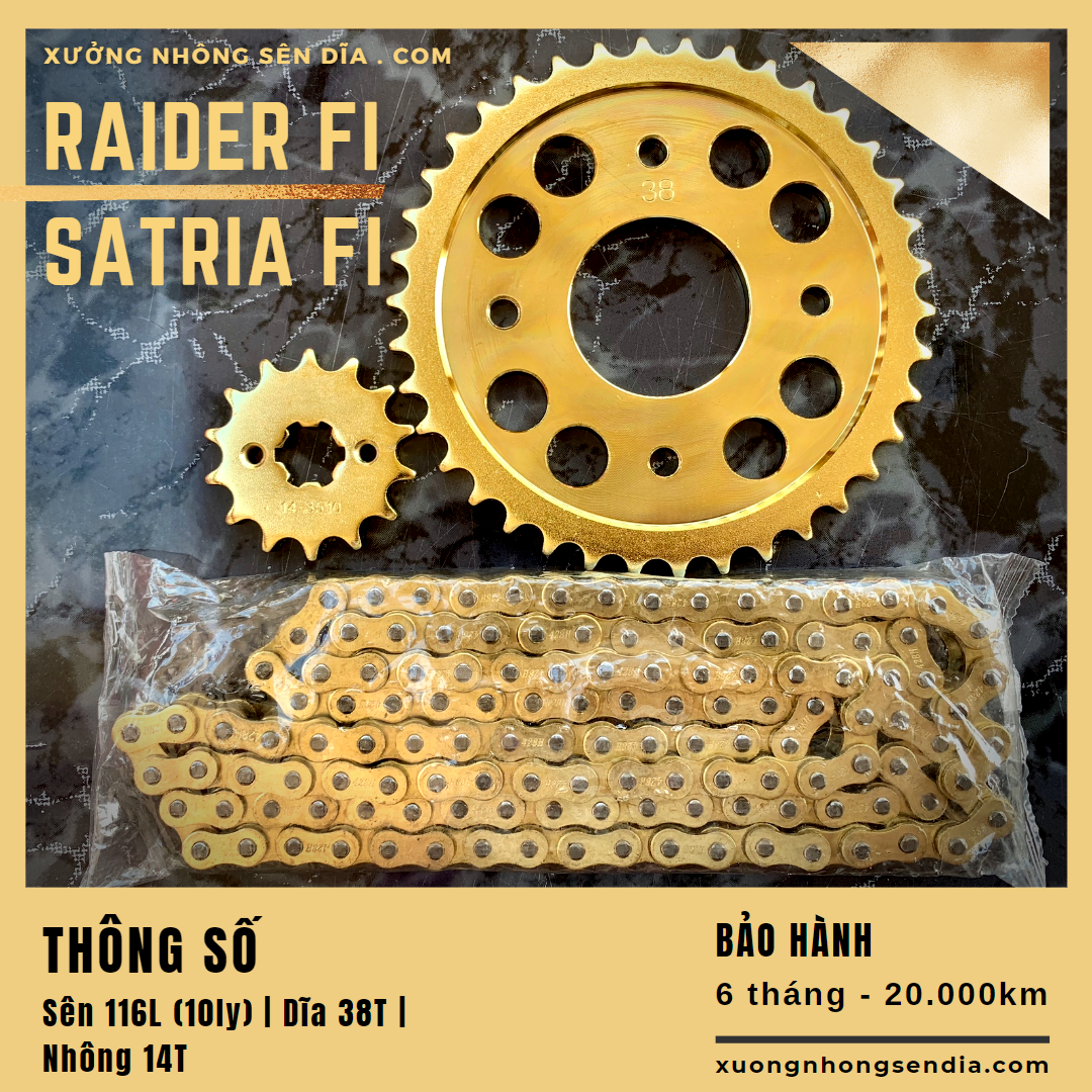 [FreeshipMAX] [HCM]NHÔNG SÊN DĨA RAIDER FI / SATRIA FI VÀNG