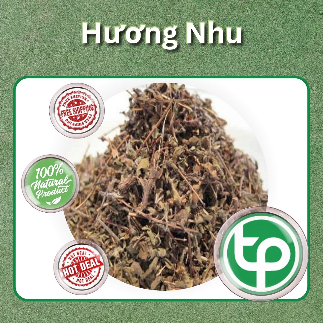 Hương nhu khô 1kg - Túi lớn hàng sạch, xanh chất lượng cao - Hỗ trợ thanh nhiệt và giải độc - Thảo Dược Tấn Phát
