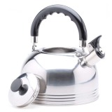[HCM]Ấm đun nước Rainy 4L (Inox Bạc)