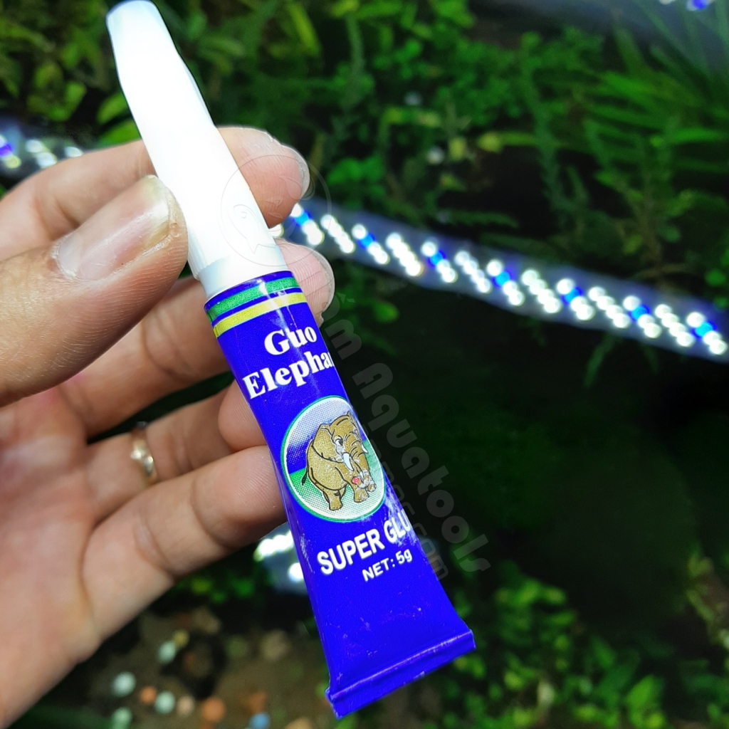 KEO DÁN RÊU THUỶ SINH / CƯỚC BUỘC RÊU