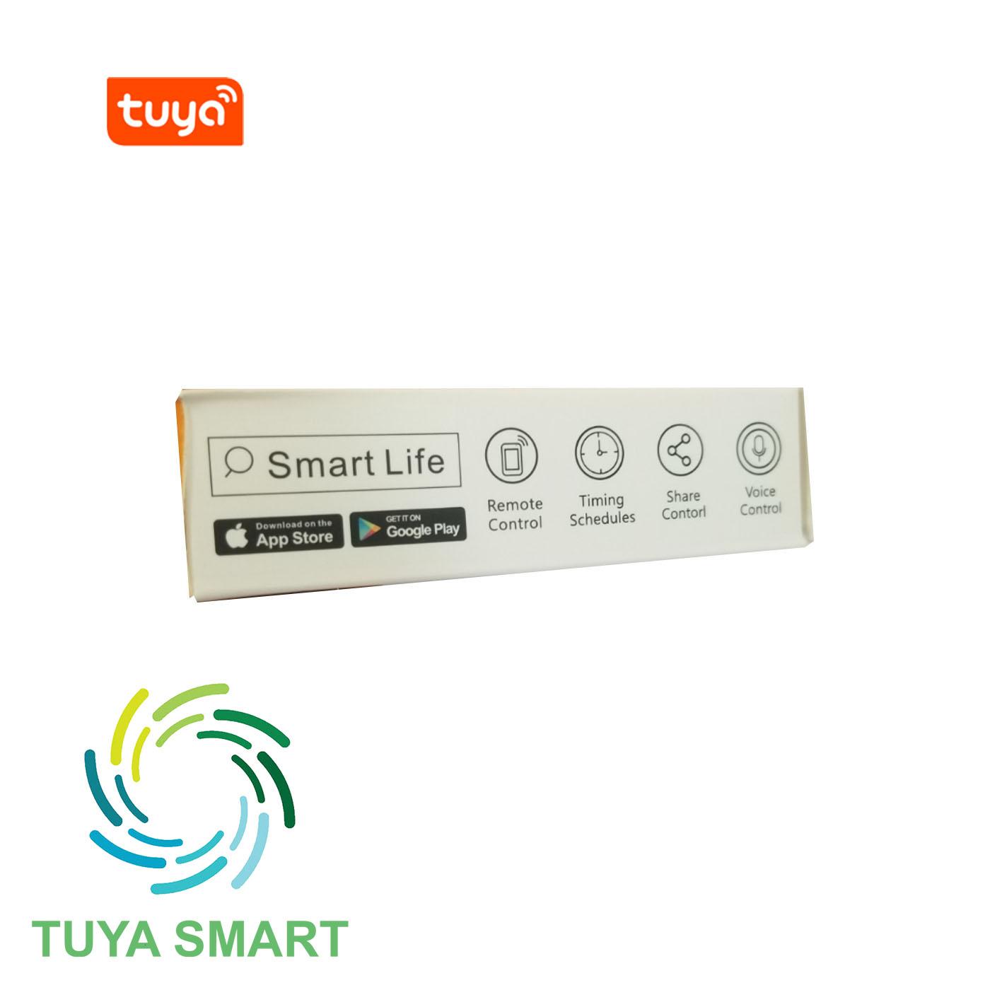 CÔNG TẮC THÔNG MINH WIFI TUYA BASIC BẢN TIẾNG ANH