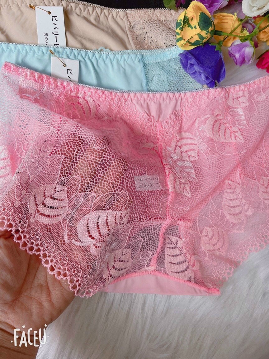 Bộ 10 Quần Lót Nữ Su Ren cao cấp (Su8585)