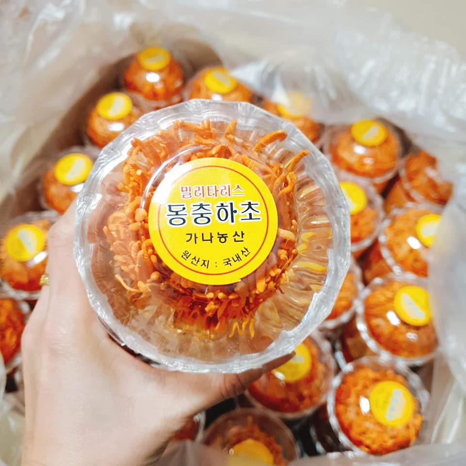 [HCM]Bông Đông Trùng Hạ Thảo Hàn Quốc 45g