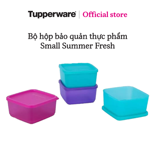 Bộ 4 hộp bảo quản thực phẩm Tupperware Small Summer Fresh