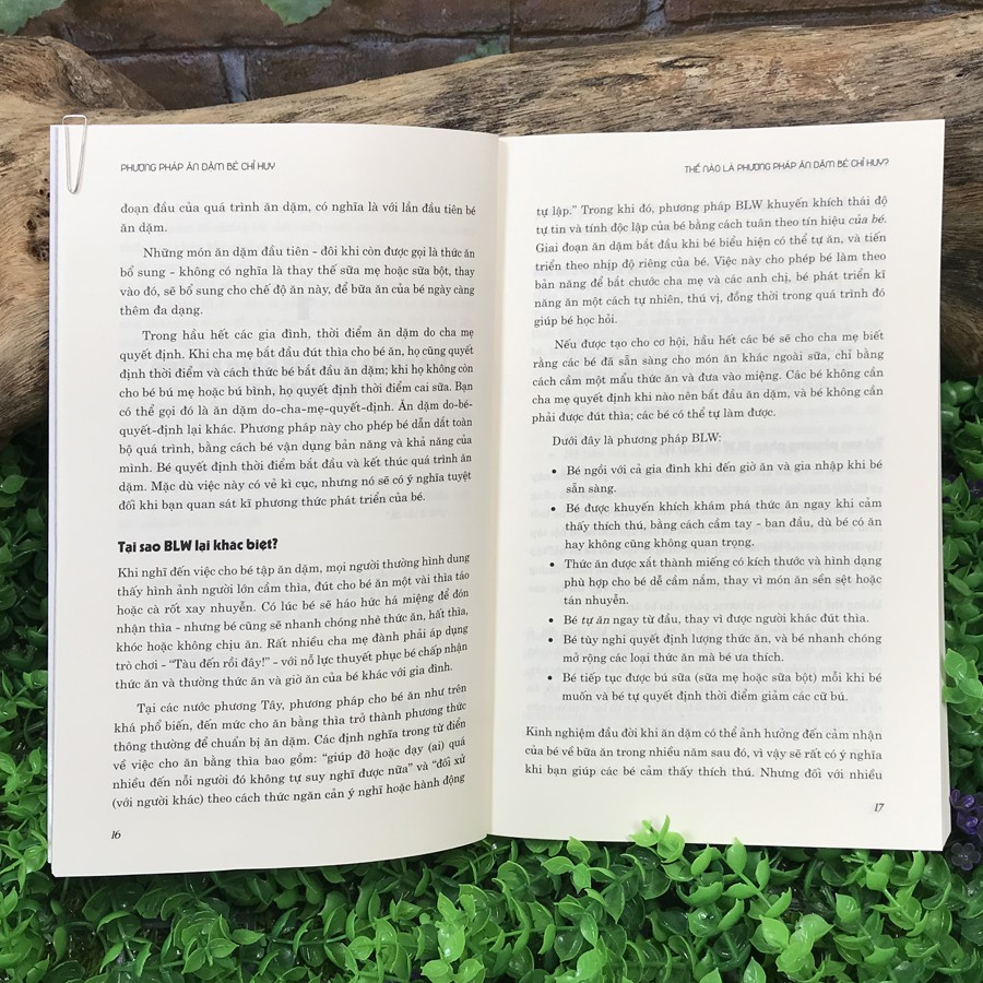 Sách - Phương pháp ăn dặm bé chỉ huy BLW [Thái Hà Books]