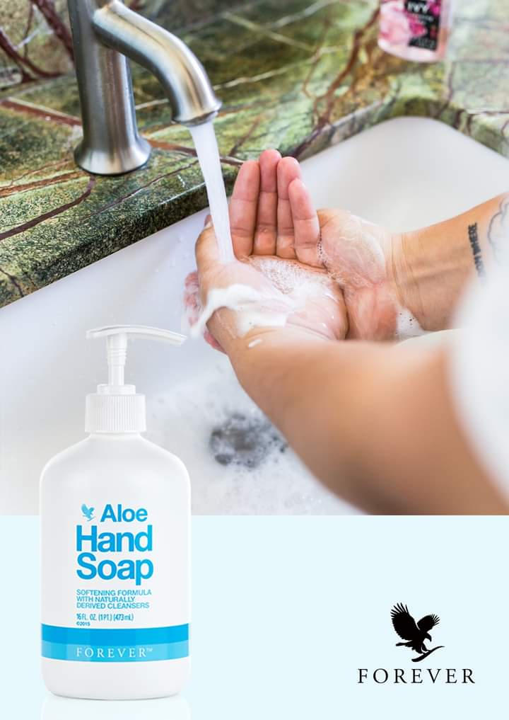 Sữa rửa mặt và tay Aloe Hand Soap