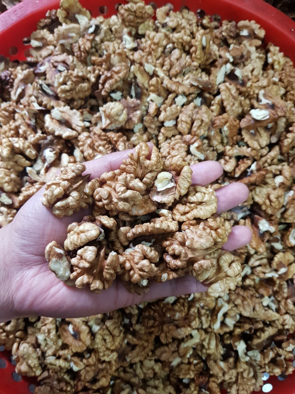 Nhân óc chó nhập Mỹ 500Gr (Làm sữa, làm bánh, ăn liền)