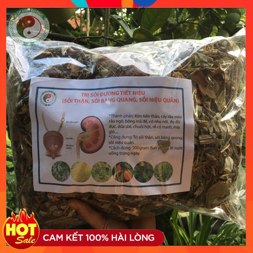 ✅ lá sỏi thận sỏi mật giúp thanh nhiệt - trừ thấp - lợi tiểu