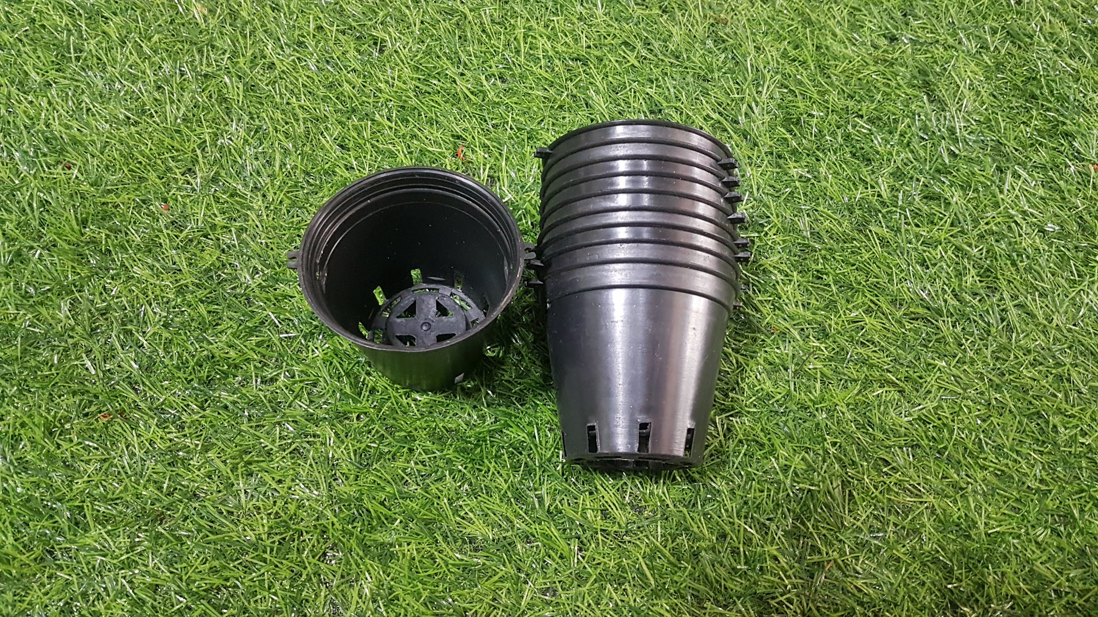 Combo 10 chậu đen trồng lan phi 8cm