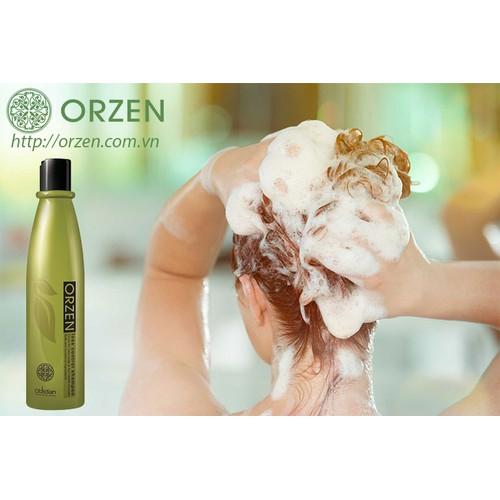[HCM]Dầu gội kích thích mọc tóc Obsidian Orzen Loss Control shampoo 320ml