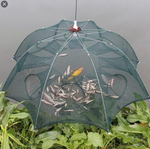 LỒNG Ô 8 , 10 ,12 CỬA
