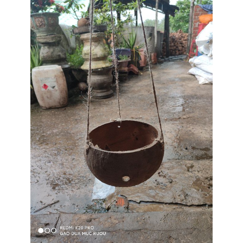 Dây Cói 2M Dùng Treo Chậu Cây, Treo Lồng Đèn
