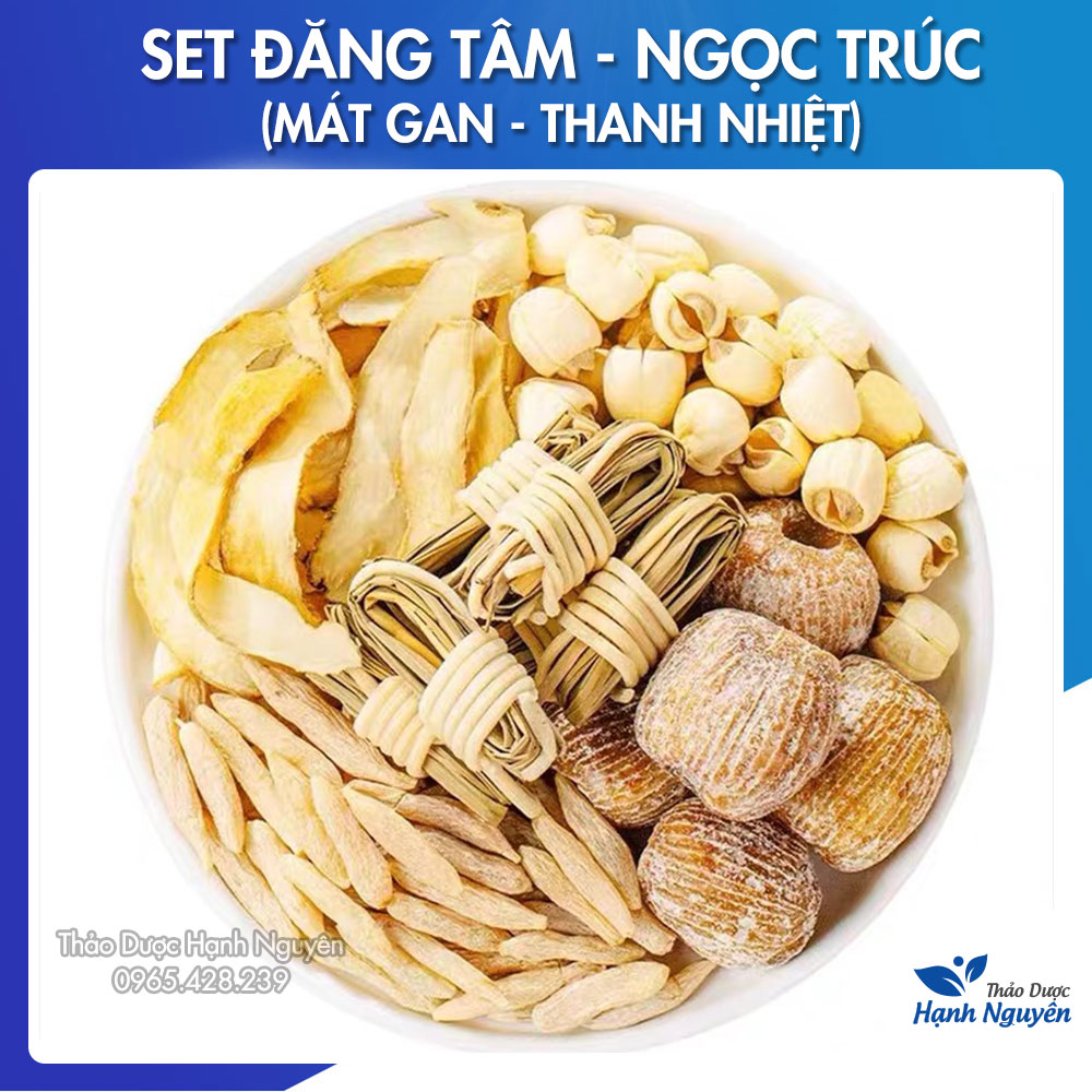 Canh đăng tâm ngọc trúc - Thảo Dược Hạnh Nguyên