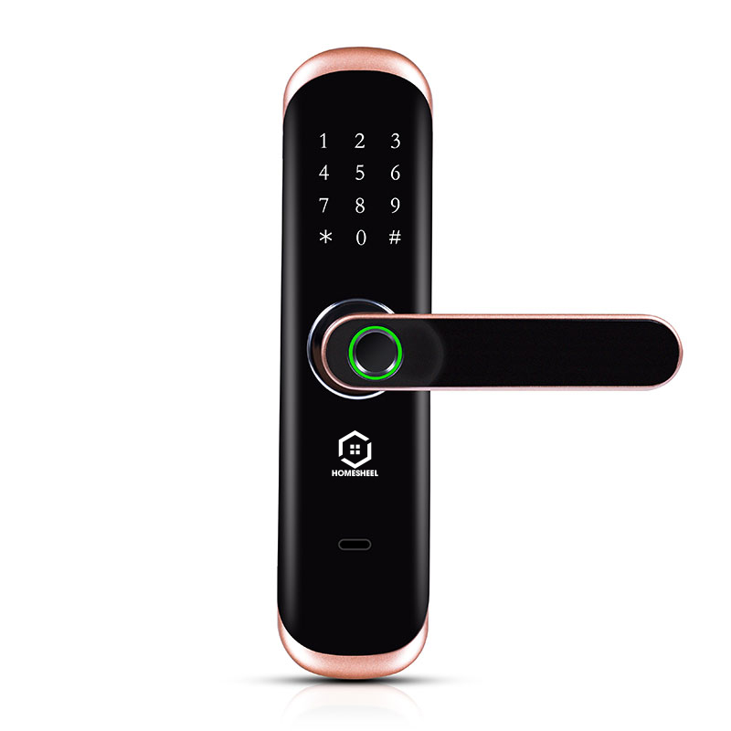[HCM]Khóa vân tay Smart Lockdoor Homesheel L1