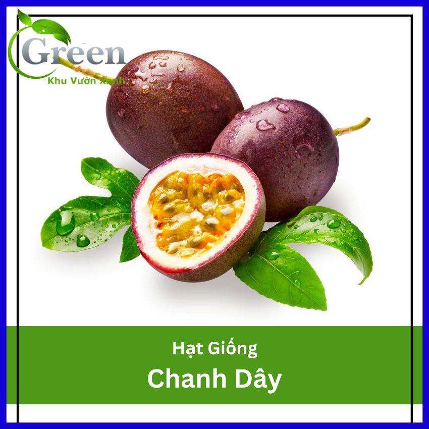 Hạt Giống Chanh Dây Năng Suất Cao