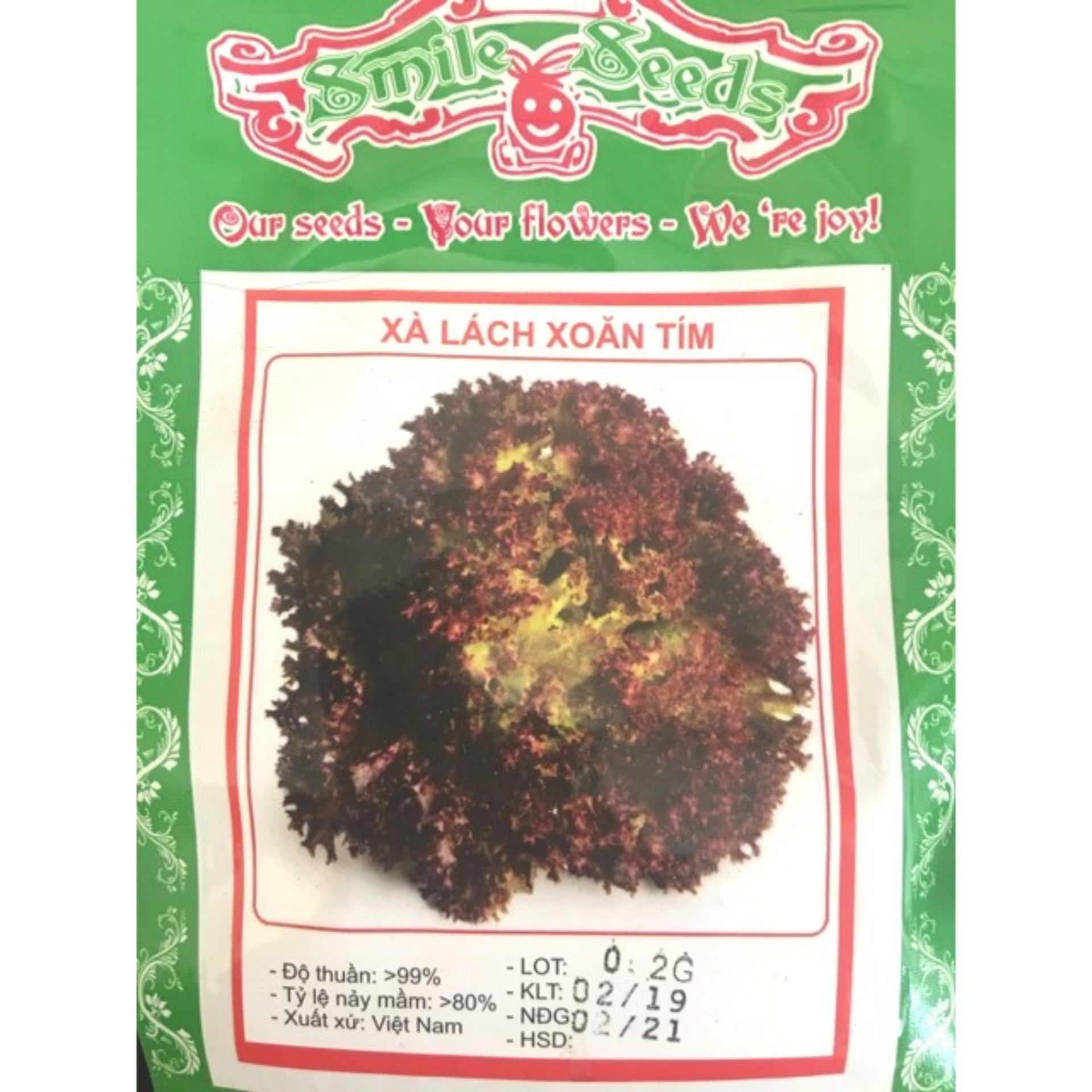 Hạt giống xà lách xoăn tím