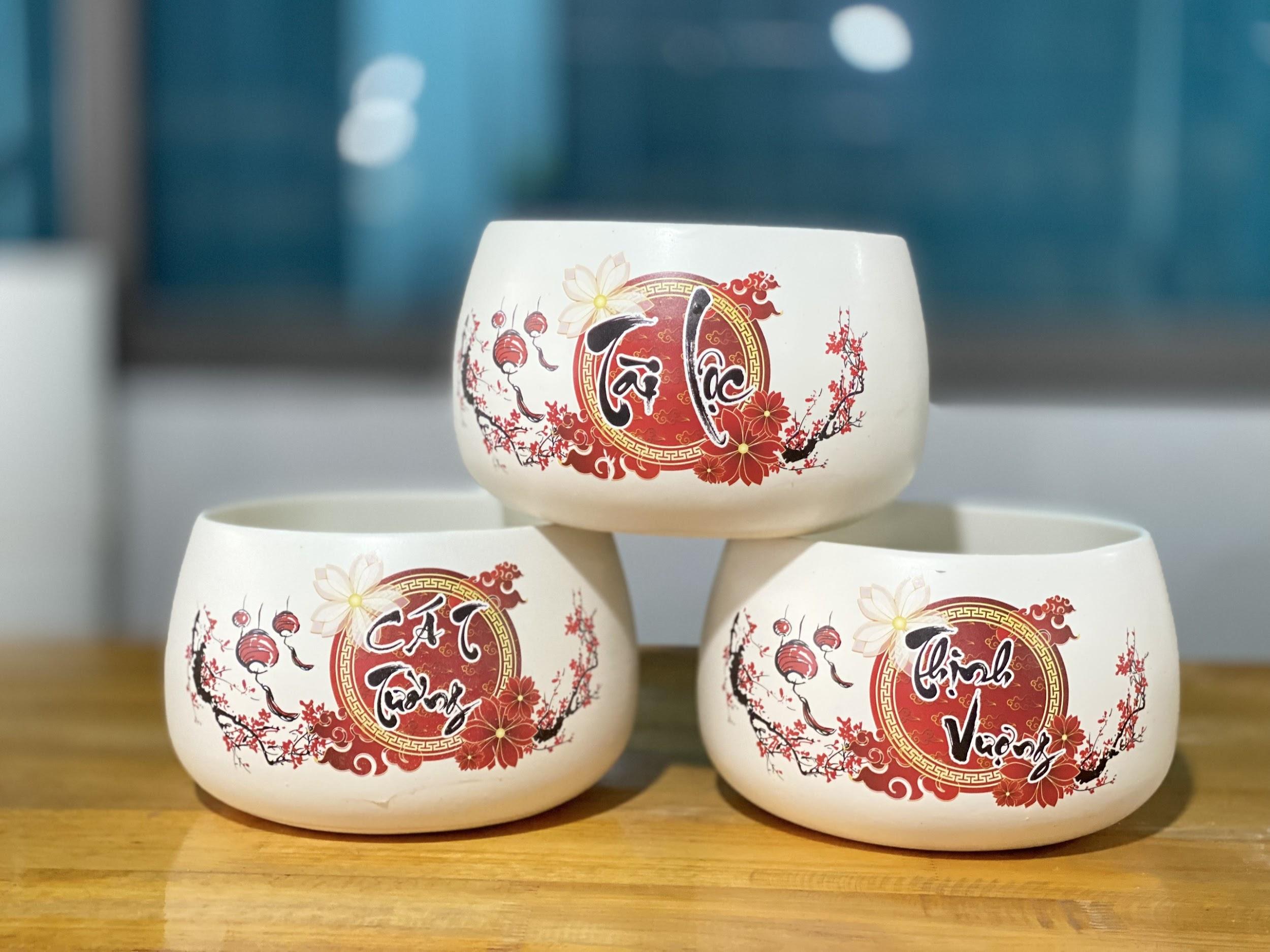 Chậu Sứ Tròn Hình Hạt Dẻ In S1, Size To Hình Siêu Đẹp, Trồng Cây Phong Thủy, Cây Để Bàn, Sen Đá Xương Rồng