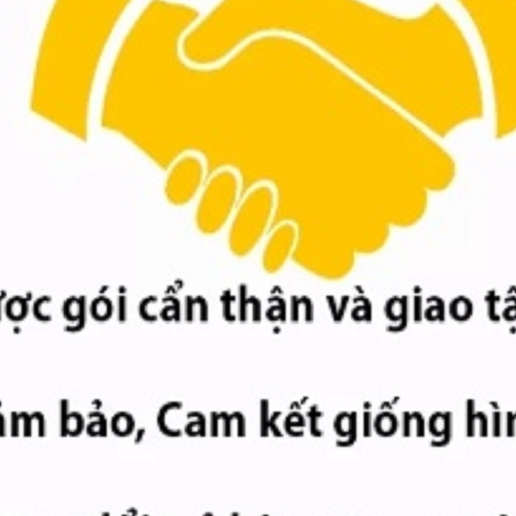 Vợt Cá MC Cam ( gồm cán vợt và vành vợt )
