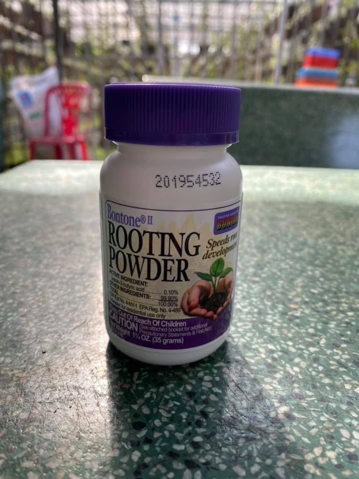 Rooting Power Siêu Kích Rễ