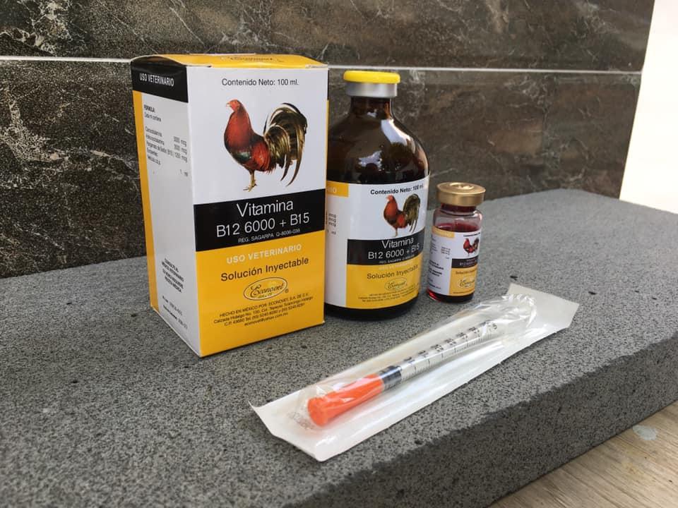[HCM]B12 6000 + b15 (10ml) - Pet Food Store.
