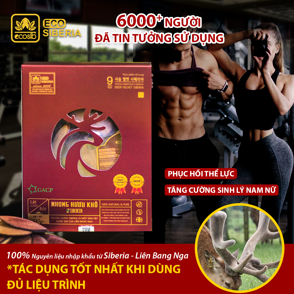 NHUNG HƯƠU KHÔ SIBERIA - 50G