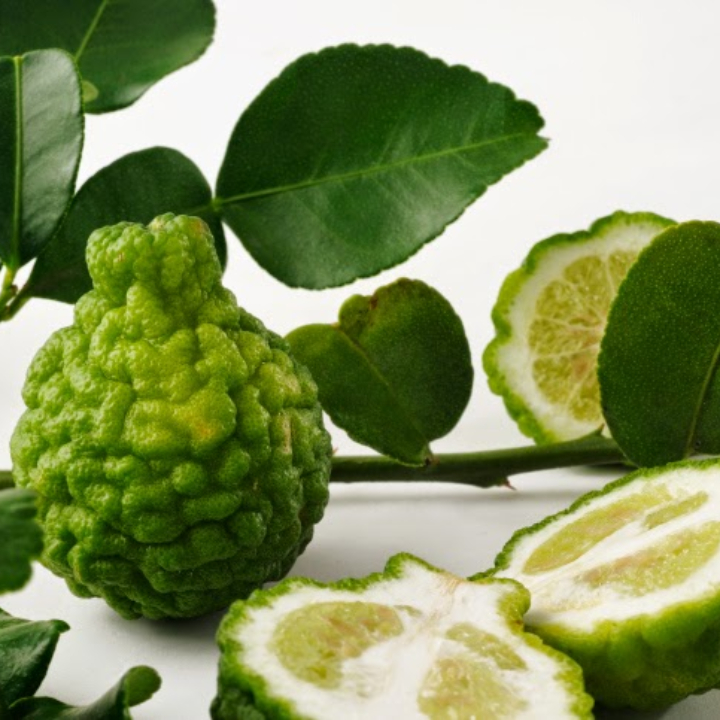 Hạt giống Chanh Thái Lan / Chanh Chúc gói 5 hạt
