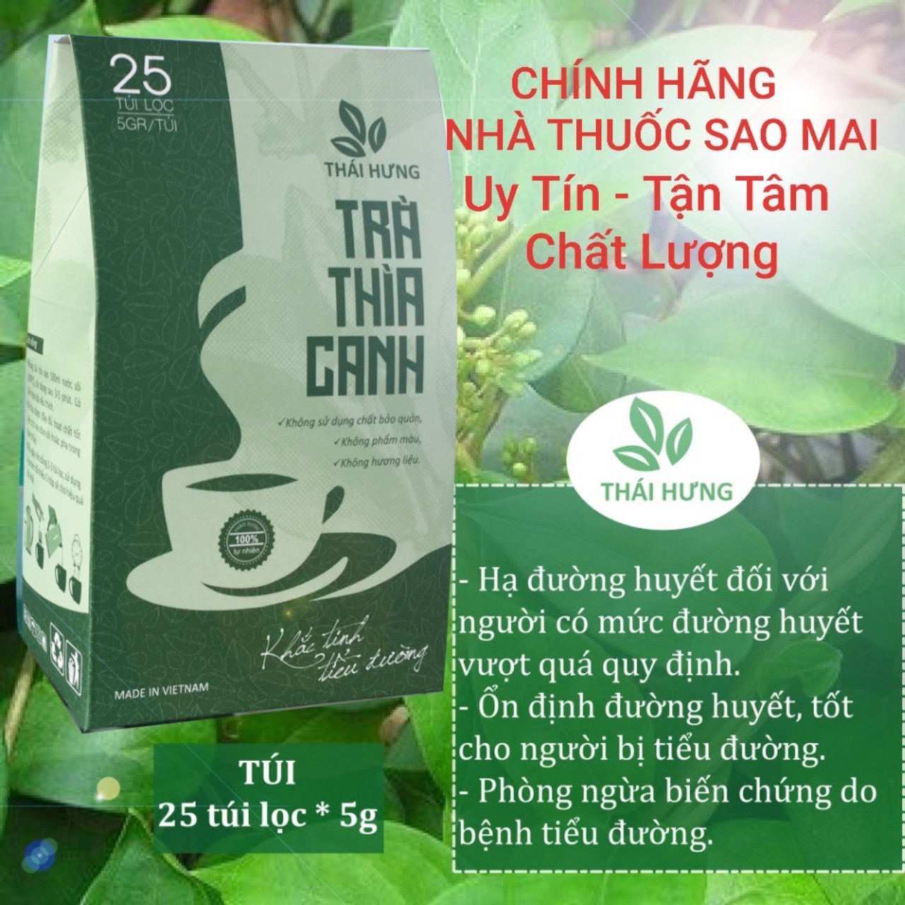 1 bịch 25 túi lọc trà dây thìa canh Thái Hưng
