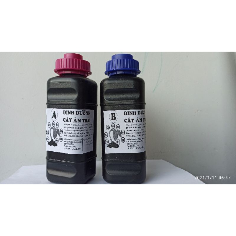 Phân bón dinh dưỡng cho cây ăn trái