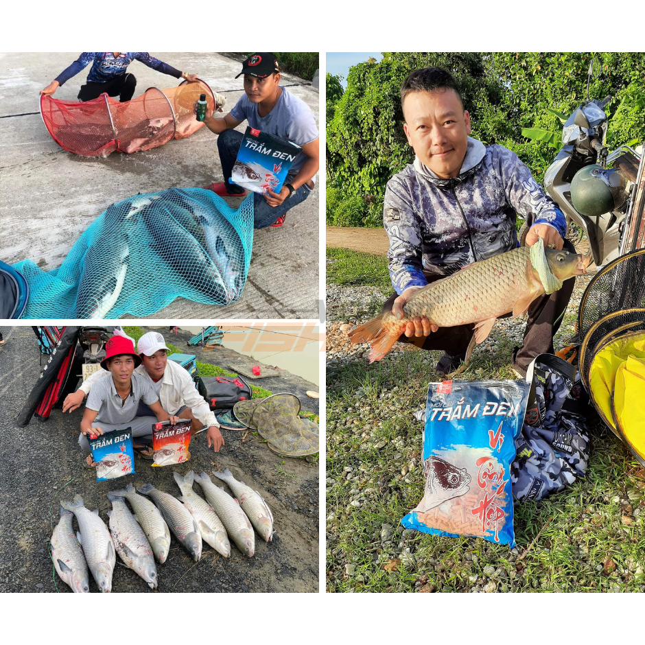 Hạt Xả Trắm Đen KIM LONG Siêu Nhạy (Mẫu Mới Nhất 3 Vị)
