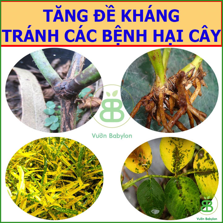 Phân Bón Hữu Cơ Vi Sinh Đầu Trâu 1KG