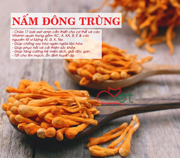 Trà Đông Trùng Hạ Thảo Ngũ Vị Thảo Mộc Đẹp Mịn Da Bồi Bổ Sức Khỏe - Combo 05 gói ngũ vị 20gram