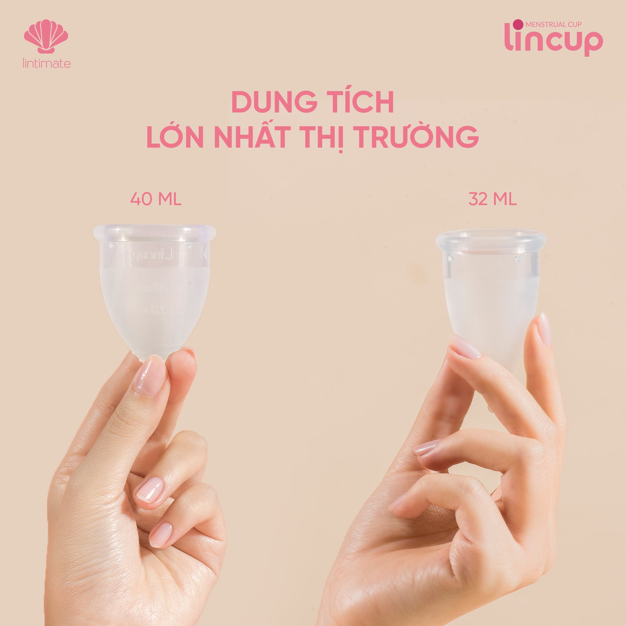Cốc nguyệt sang lincup tang ddvs phu nu