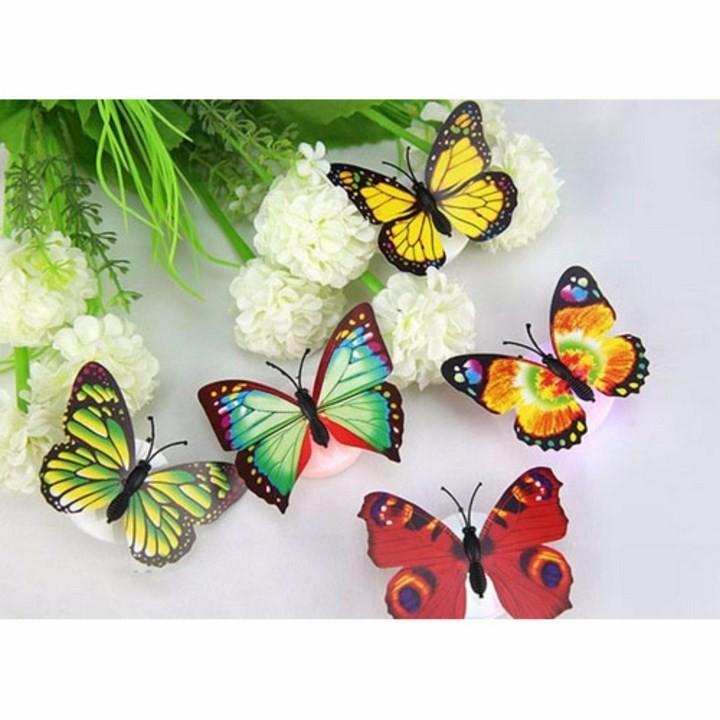 Đèn bướm led trang trí siêu đẹp , đèn mini trang trí mọi nơi
