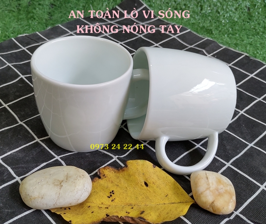 CỐC SỨ TRẮNG LY SỨ