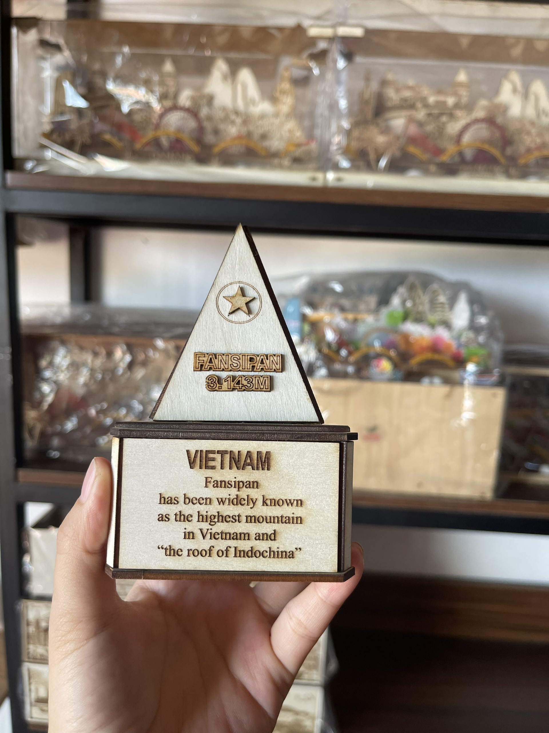 MÔ HÌNH ĐỈNH FANSIPAN 3D