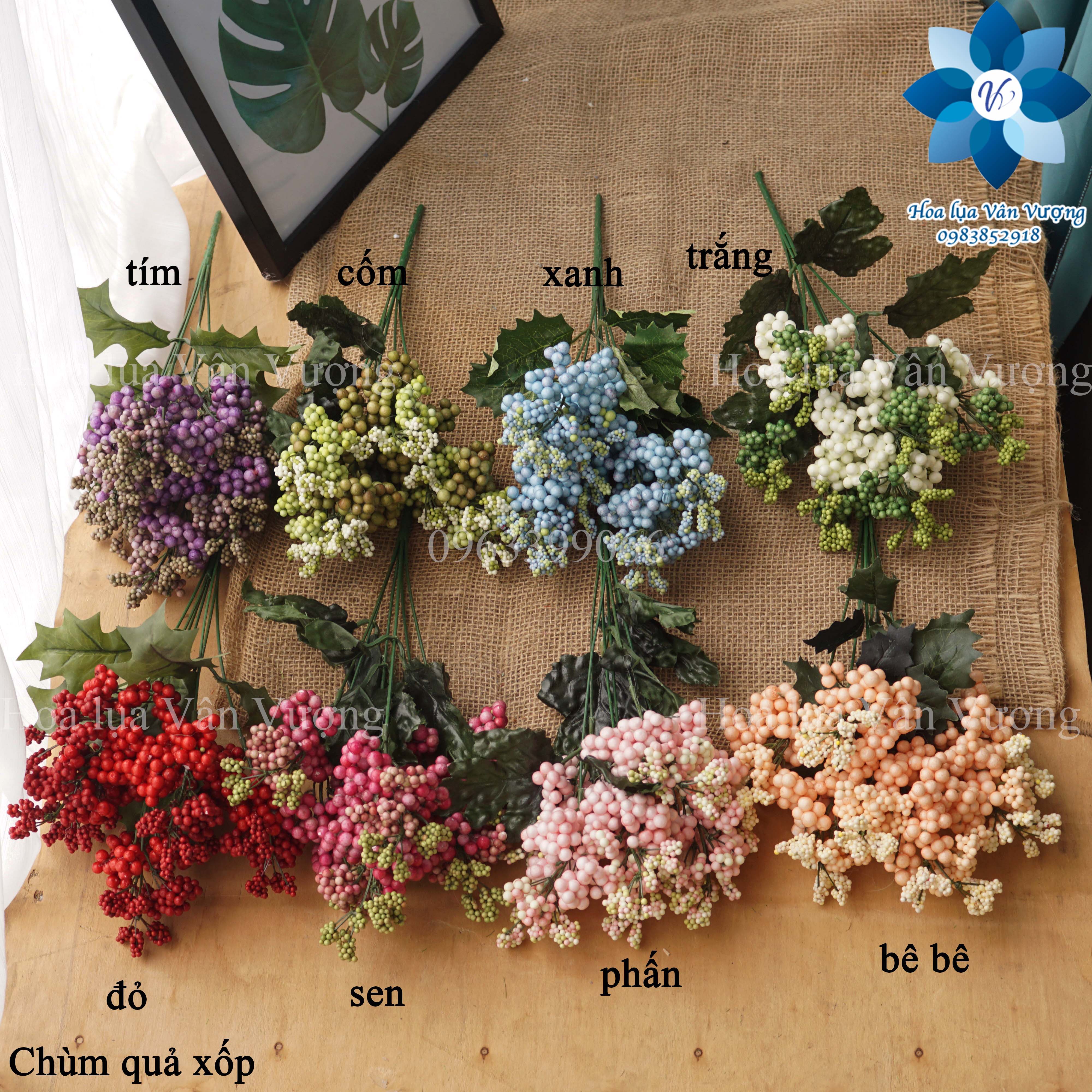 Hoa Giả, Chùm Quả Xốp Điểm