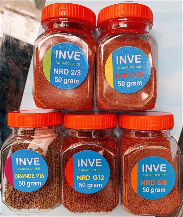 Cám Thái Inve 5/8 hũ 50 gram cho cá tép cảnh thuỷ sinh