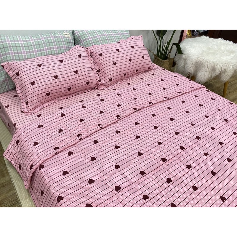 Trọn Bộ Chăn Ga Gối Hè Thu 5 Món Tim Kẻ