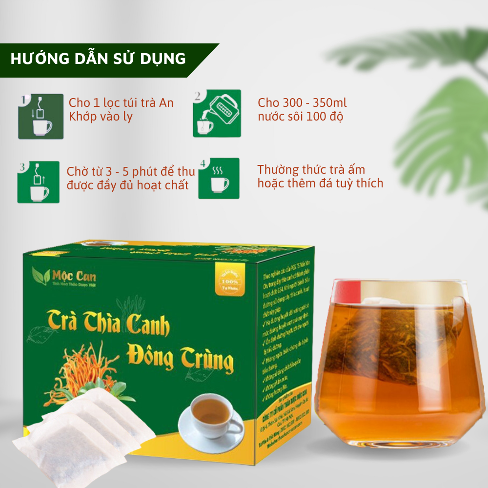 Trà túi lọc dây thìa canh đông trùng
