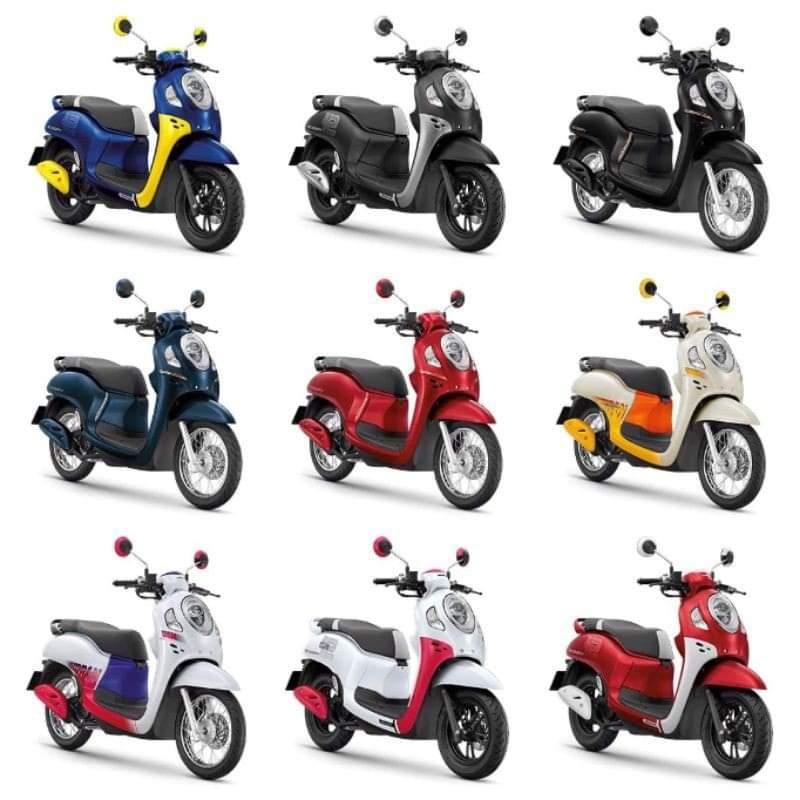 sàn chân scoopy 2021 - 2022