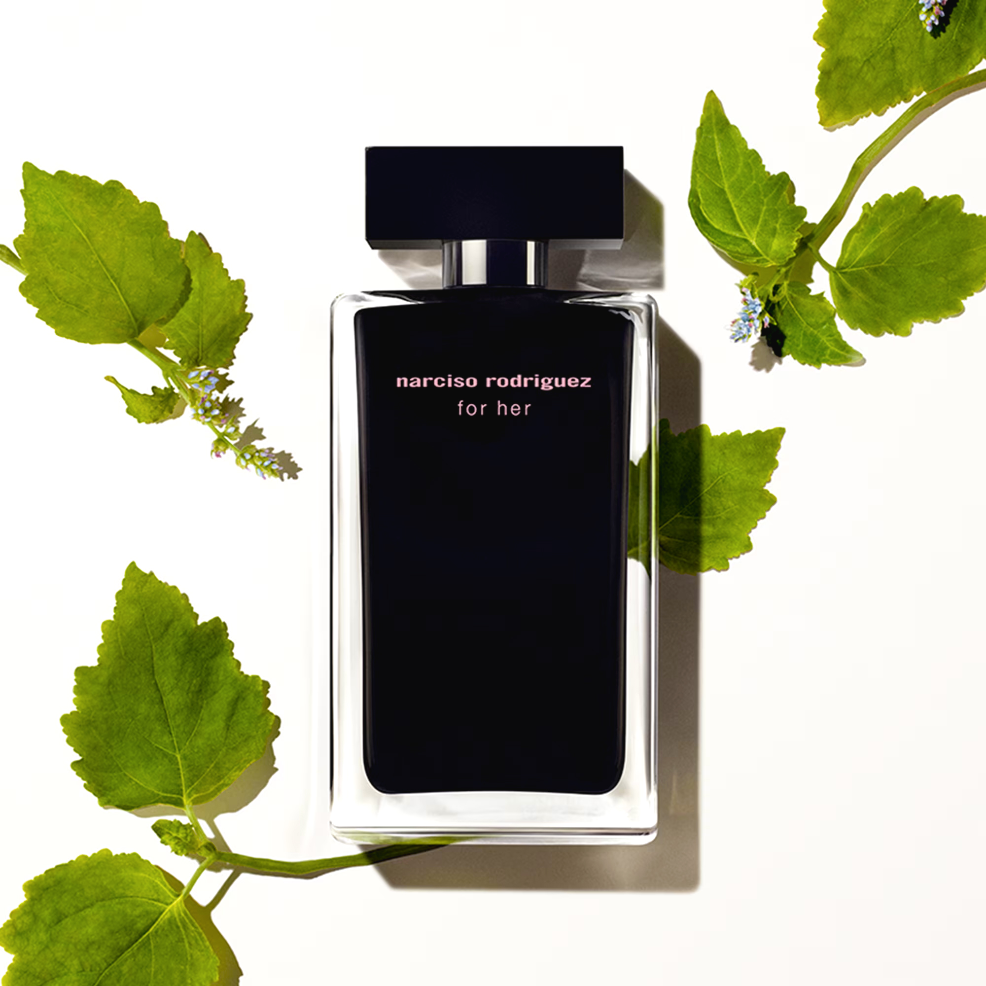 Nước Hoa Nữ Nar For Her EDT - 10ml, Full Box
