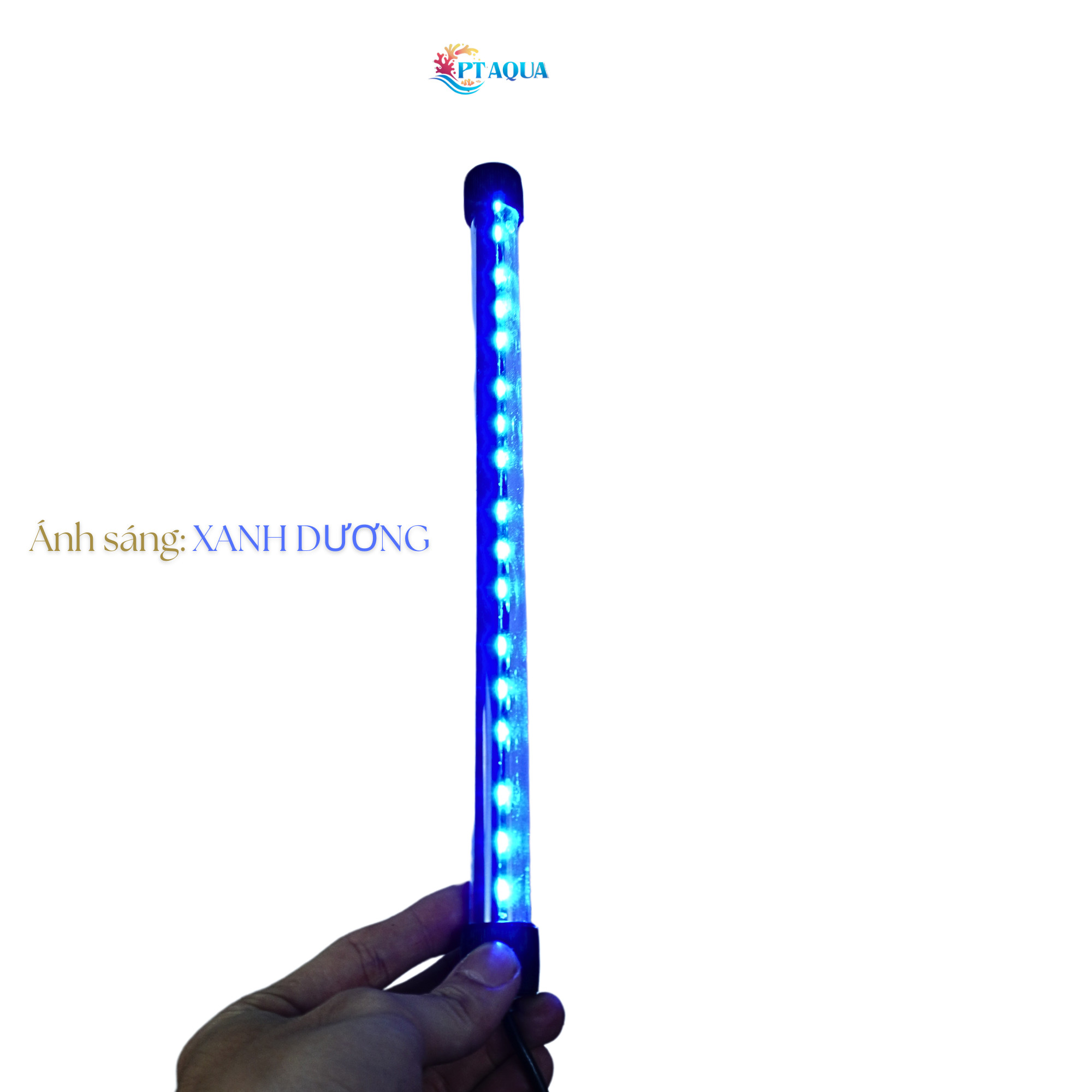 Đèn bể cá Blue xanh biển dành cho hồ cá cảnh