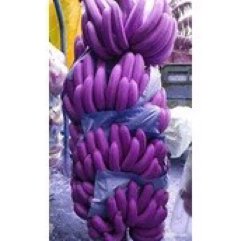 Cây giống chuối tím