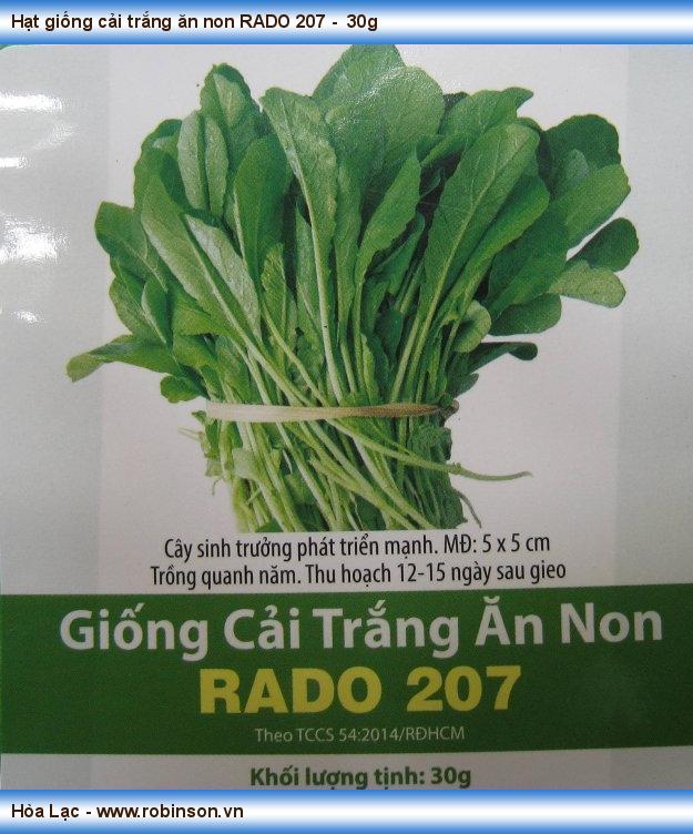 Hạt giống cải trắng ăn non rado 207 rạng đông gói 30gram