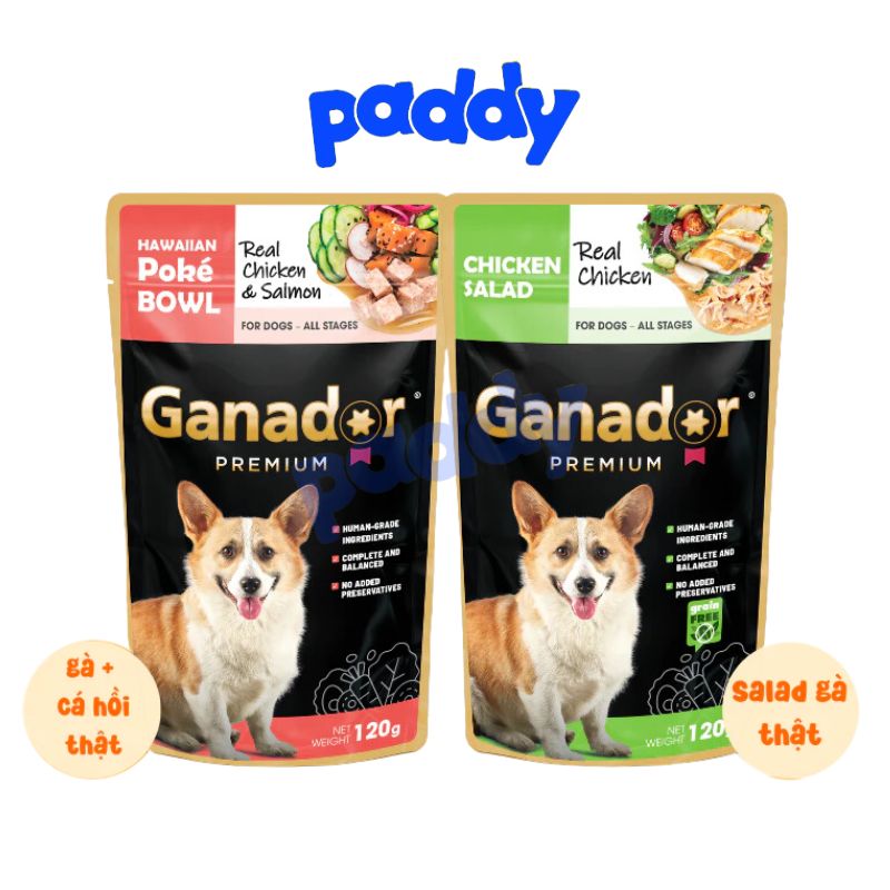 Pate Ganador Chó Mọi Lứa Tuổi Thịt Gà