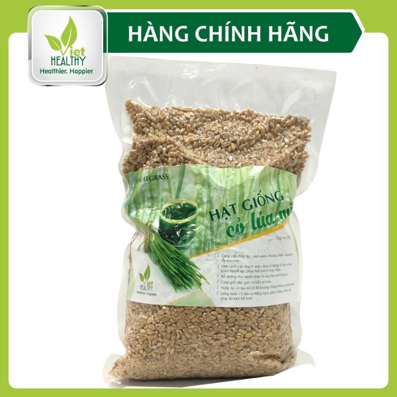 Hạt giống cỏ lúa mì Viethealthy 1 kg