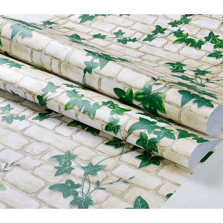 Decal giấy dán tường dây leo