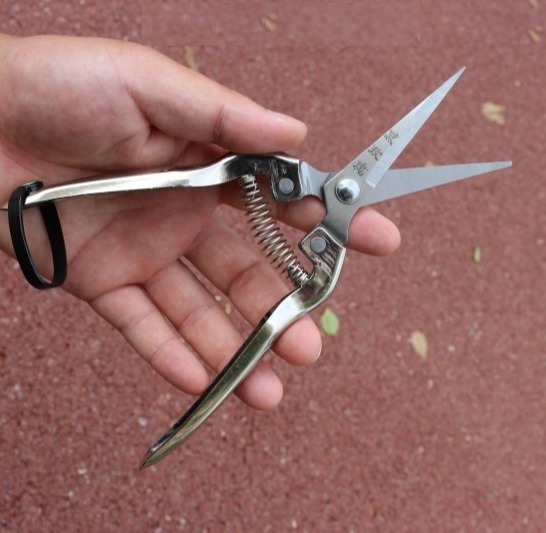Kéo dùng cắt hoa hái trái cây Đài Loan LV101