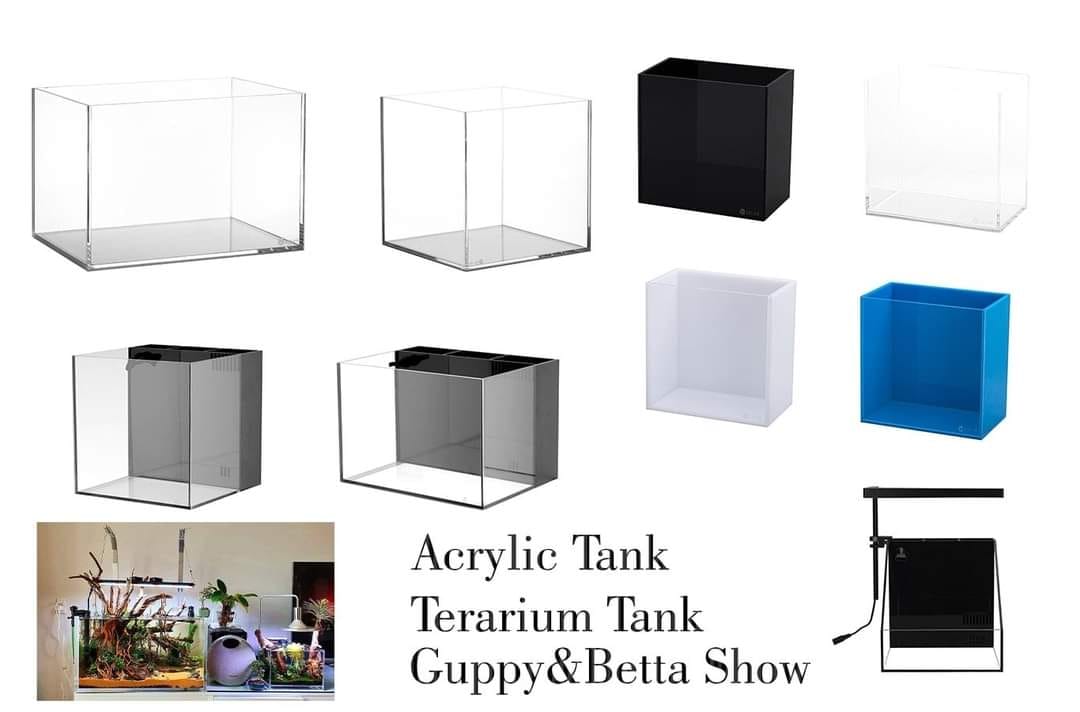Bể Cubic Hồ Cubic Acrylic Vuông 15*15*15cm Ebivn